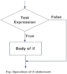 Flowchart of if in R Programming